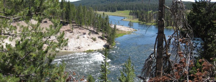 American Rockies