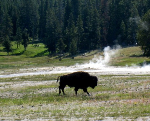 American Rockies