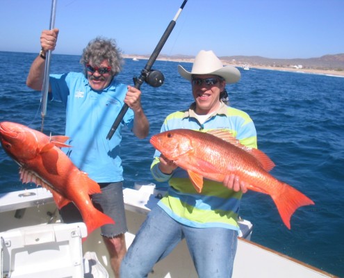 Baja Experience