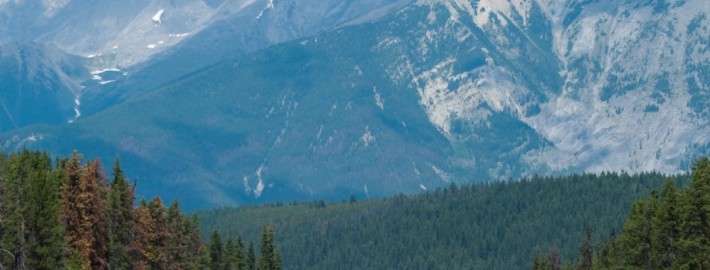 Canadian Rockies